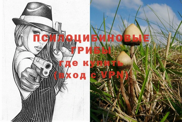 ECSTASY Няндома