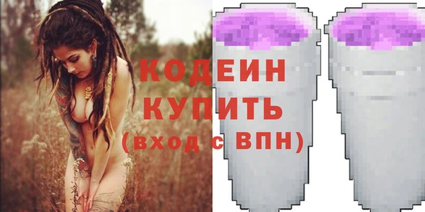 ECSTASY Няндома