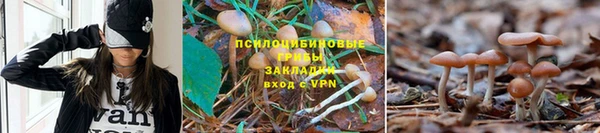 ECSTASY Няндома